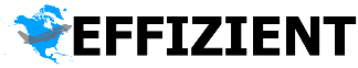 Effizient Immigration Inc.