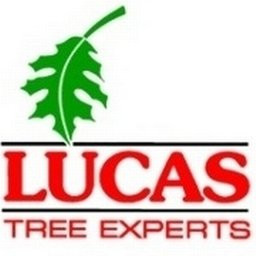 Lucas Tree Expert Co, Inc