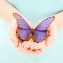 Mariposa Therapy Services