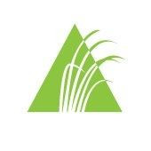 Altamaha Federal Credit Union