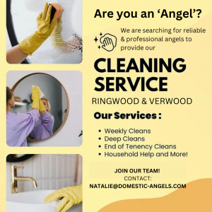 Domestic Angels Ringwood & Verwood