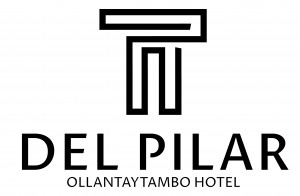 INVERSIONES PIMI SAC