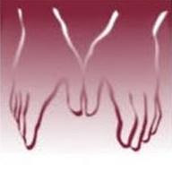 Coast Physical Therapy Specialists