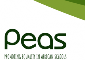 Promoting Equality in African School Zambia Limited
