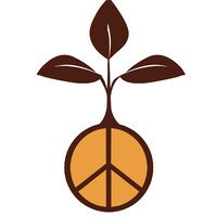 Art of Peaceful Living