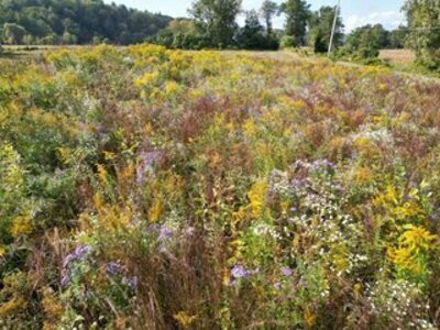 Earth Designs Cooperative