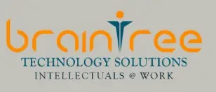 Braintree Technology Solutions