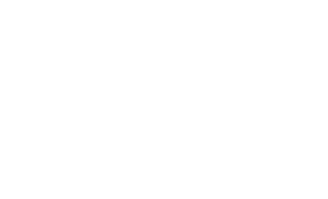 Sentry Ltd