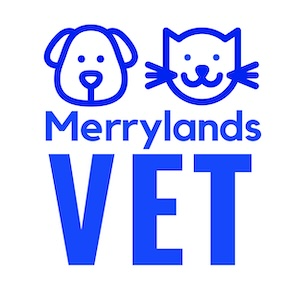 Merrylands Vet