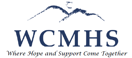 WASHINGTON COUNTY MENTAL HEALTH SERVICES INC