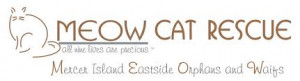 Meow Cat Rescue