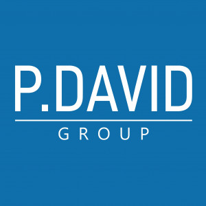 P. DAVID GROUP