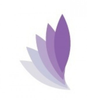 Precise Chiropractic