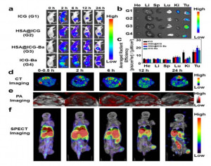 Animal Models Evaluation