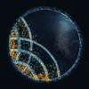 Concerto Biosciences