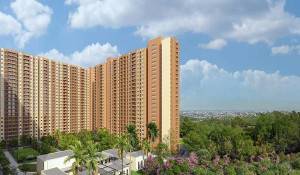 About Birla Evara