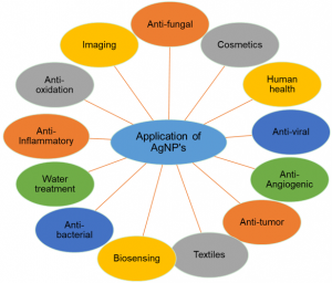 Lateral Flow Assay Development