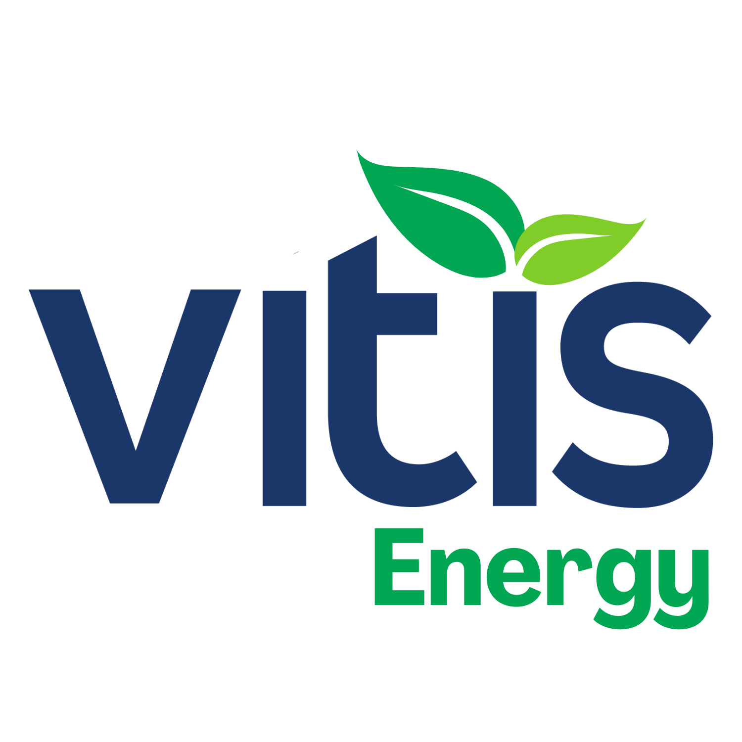 Vitis Energy