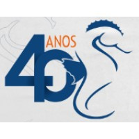 Grupo Cavalo Marinho