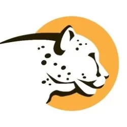 Cheetah Clean Auto Wash