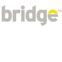 Bridge Support