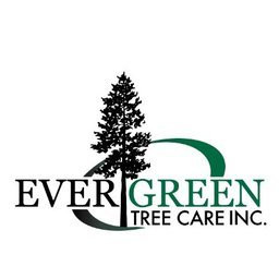 Evergreen Tree Care