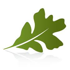 OakLeaf Clinics - OB/GYN
