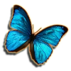 Good Tidings PHC