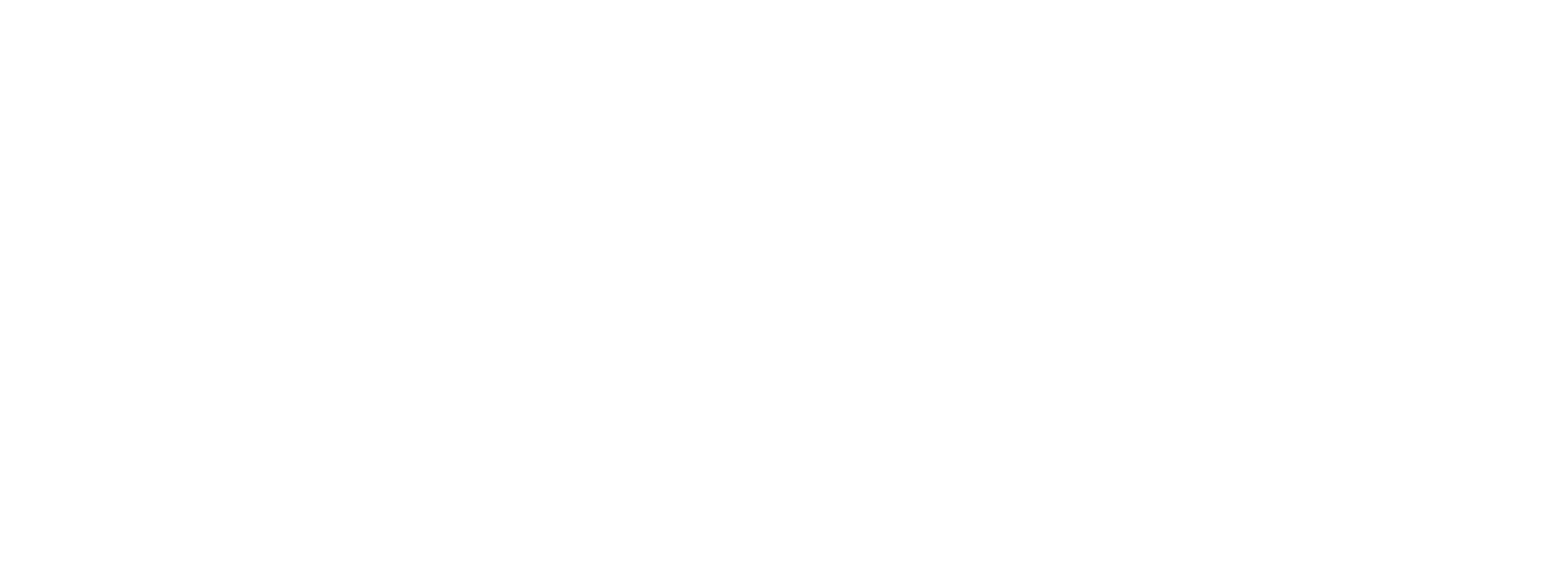 BROOKLYN ACADEMY OF MUSIC INC