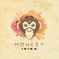 MONKEY ibiza