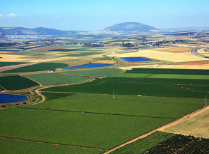 Emek Yizre'el Agricultural Division