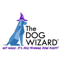 The Dog Wizard