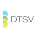 DTSV Inc