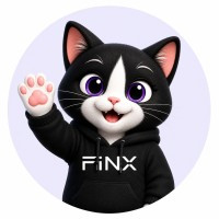FinX