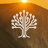 Springwood Executive