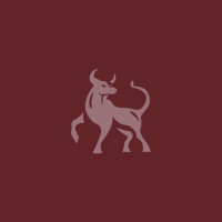 Taurus Search