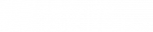 Exclusive Household Staff