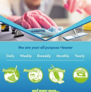 AA The Shiny Cleaners LTD