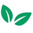 Fresh Express