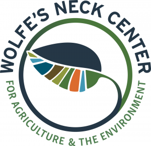 Wolfe's Neck Center image