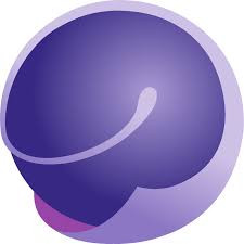 Queensland Fertility Group
