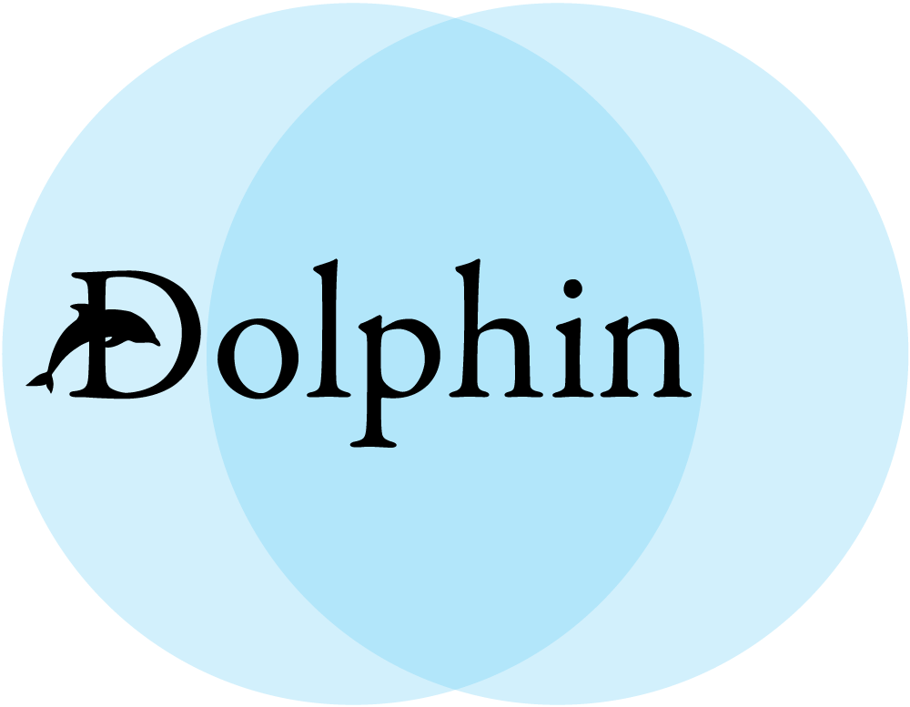 DOLPHIN HOTEL MANAGEMENT