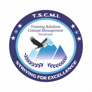 Training Solutions Concept Management Institute