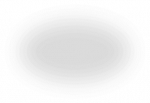 Regal Investment Group