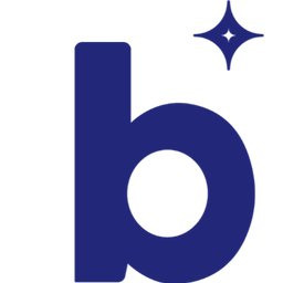 Bright Star Solutions LLC