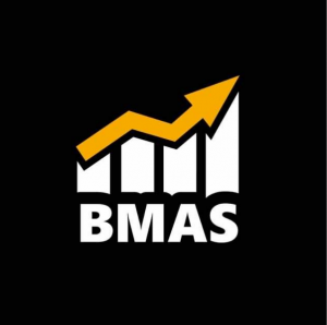 Business Momentum Advisory Services