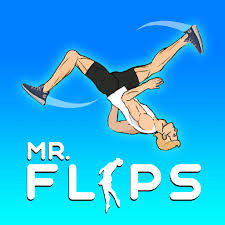 mr flip