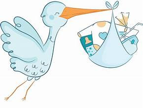 babystork.gr