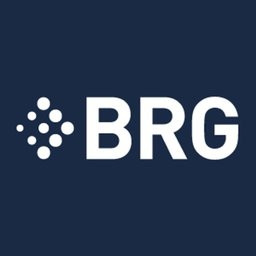 Berkeley Research Group, LLC