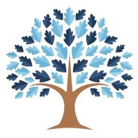 Blue Oak Consulting